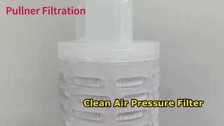 Cartucho de filtro plissado PTFE de 30 polegadas para pressão de ar