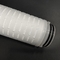 OD 68.5mm filtro em caixa plissado 1 - 5 mícrons para a indústria de água do alimento