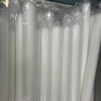 PTFE Membrane Filter Cartridge with Hydrophobic and Hydrophilic PTFE Membrane for Corrosion Resistant Filtration