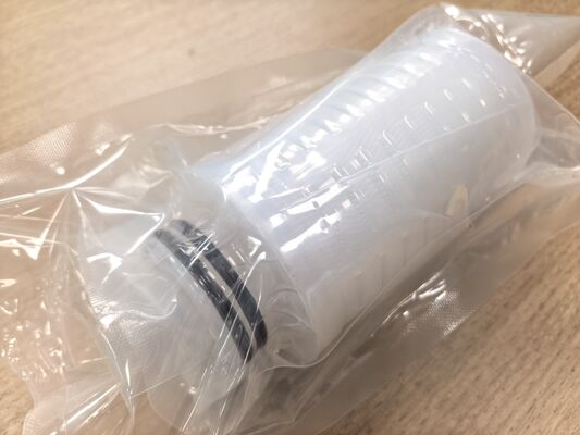 Cartucho de filtro PLPF da série All Fluoropolymer com membrana hidrofílica de PTFE para resistência à corrosão química e baixa precipitação