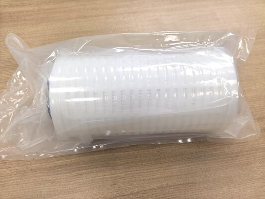 Cartucho de filtro PLPF da série All Fluoropolymer com membrana hidrofílica de PTFE para resistência à corrosão química e baixa precipitação